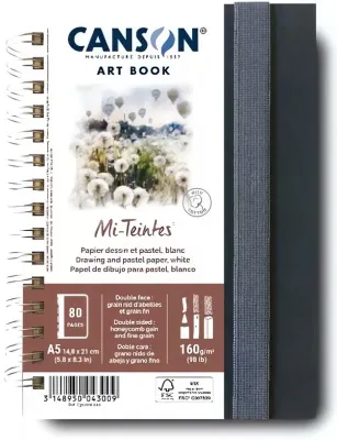 Art Book Mi-Teintes skic.kr.vaz. A5 40l CP160g