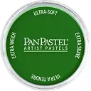 Suché pastely PanPastel 9 ml - varianty - PanPastel 9 ml – 640.1 Permanent Green Extra Dark