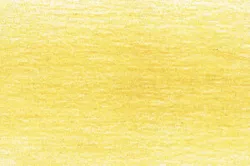 Měkké pastelky Drawing, Derwent - varianty + nové odstíny - 0300 - Mustard