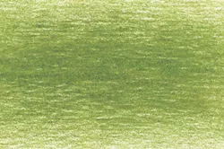 Měkké pastelky Drawing, Derwent - varianty + nové odstíny - 5100 - Moss Green