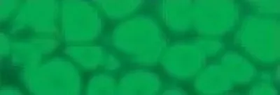 Barvy Fantasy Prisme