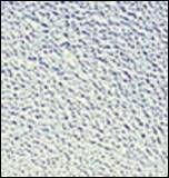 č.06 - Smaltovací prášek EFCOLOR č.284 - 10ml matalická šedá