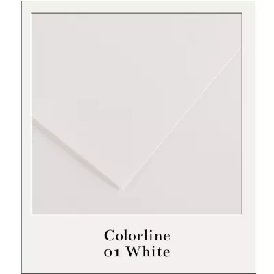 Barevný karton - COLORLINE (Canson) 220g - 70x100cm - varianty Barevný karton - COLORLINE (Canson) 220g - 70x100cm - varianty