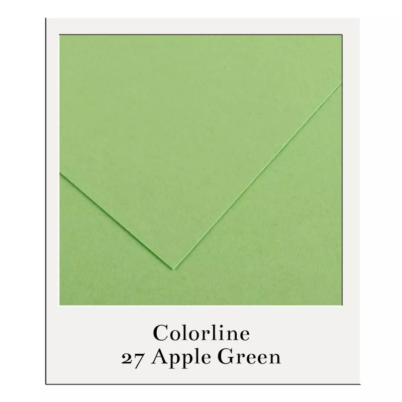 Barevný karton - COLORLINE (Canson) 220g - 70x100cm - varianty - 27 Apple Green