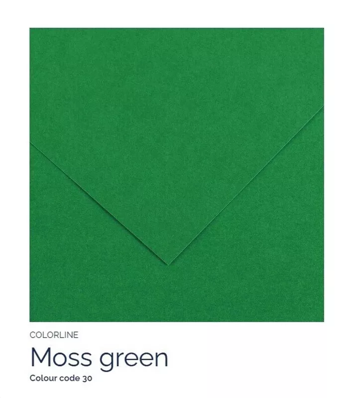 Barevný karton - COLORLINE (Canson) 220g - 70x100cm - varianty - 30 Moss Green