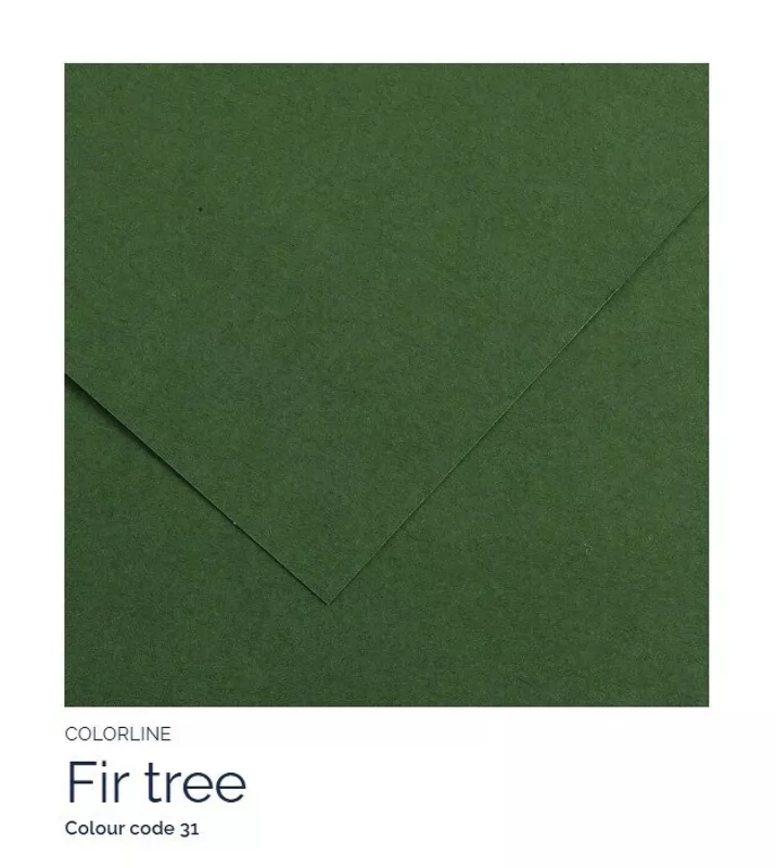 Barevný karton - COLORLINE (Canson) 220g - 70x100cm - varianty - 31 Fir Tree
