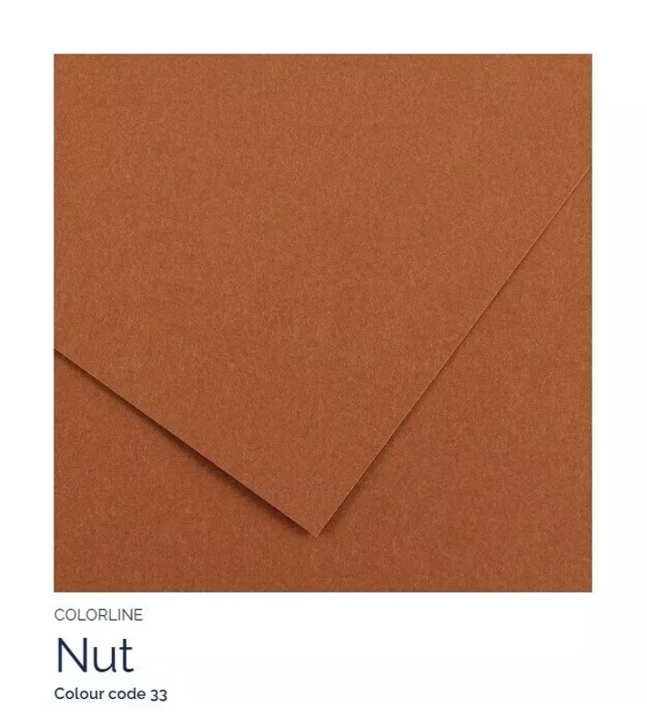 Barevný karton - COLORLINE (Canson) 220g - 70x100cm - varianty - 33 Nut