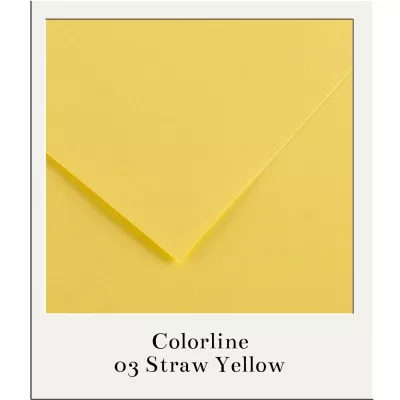 Barevný karton - COLORLINE (Canson) 220g - 70x100cm - varianty Barevný karton - COLORLINE (Canson) 220g - 70x100cm - varianty
