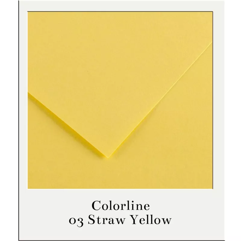 Barevný karton - COLORLINE (Canson) 220g - 70x100cm - varianty - 03 Straw Yellow