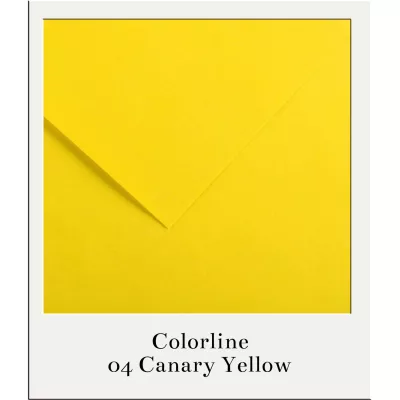 Barevný karton - COLORLINE (Canson) 220g - 70x100cm - varianty Barevný karton - COLORLINE (Canson) 220g - 70x100cm - varianty