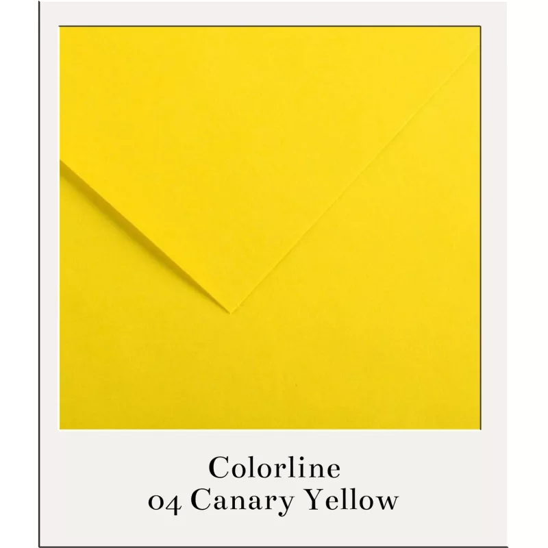 Barevný karton - COLORLINE (Canson) 220g - 70x100cm - varianty - 04 Canary Yellow