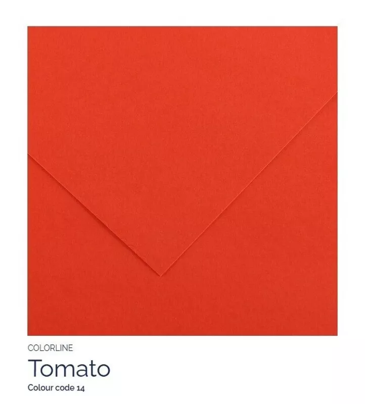 Barevný karton - COLORLINE (Canson) 220g - 70x100cm - varianty - 14 Tomato