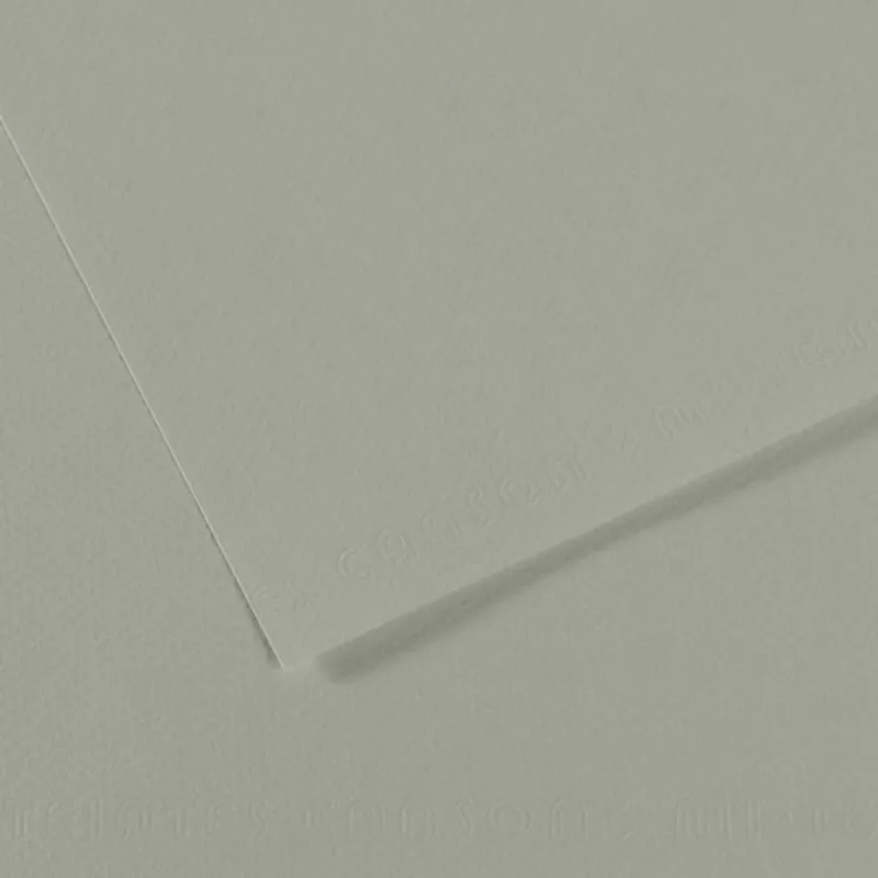 Barevný papír CANSON MI-TEINTES 21x29,7cm formát A4 (160g/m2) - 48 odstínů - 343 - Pearl