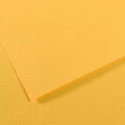 Barevný papír CANSON MI-TEINTES 21x29,7cm formát A4 (160g/m2) - 48 odstínů