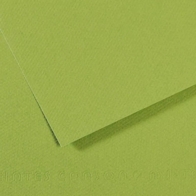 Barevný papír CANSON MI-TEINTES 21x29,7cm formát A4 (160g/m2) - 48 odstínů - 475 - Apple green