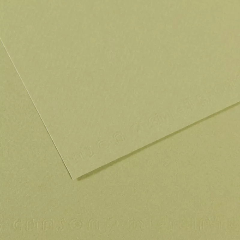 Barevný papír CANSON MI-TEINTES 21x29,7cm formát A4 (160g/m2) - 48 odstínů - 480 - Light green