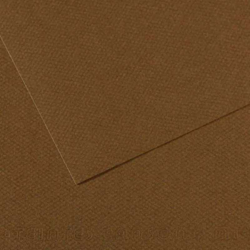 Barevný papír CANSON MI-TEINTES 21x29,7cm formát A4 (160g/m2) - 48 odstínů - 501 - Tobacco