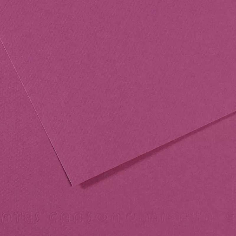 Barevný papír CANSON MI-TEINTES 21x29,7cm formát A4 (160g/m2) - 48 odstínů - 507 - Vioelt