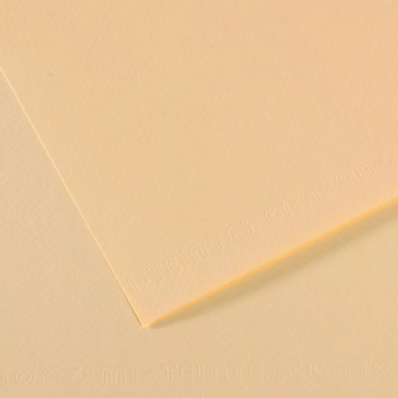 Barevný papír CANSON MI-TEINTES 21x29,7cm formát A4 (160g/m2) - 48 odstínů - 111 - Ivory