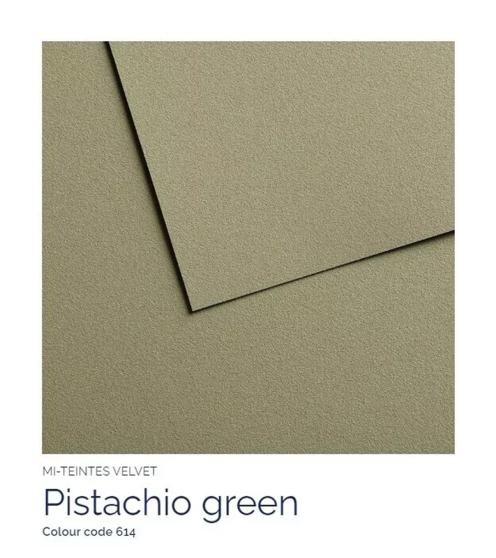 Mi-Teintes VELVET sametový pastel papír 430g 50x65 - varianty - 614 Pistachio Green Canson