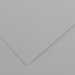 Barevný karton - ELLE ERRE (Fabriano) 220g - 70x100cm Light grey