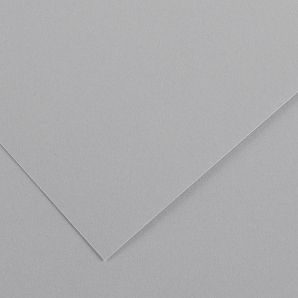 Barevný karton - ELLE ERRE (Fabriano) 220g - 70x100cm Light grey