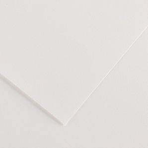 Barevný karton - ELLE ERRE (Fabriano) 220g - 70x100cm White