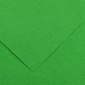Barevný karton - COLORLINE (Canson) 220g - 70x100cm Bright green
