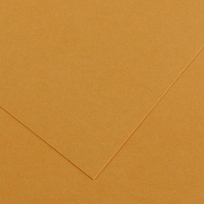 Barevný karton - COLORLINE (Canson) 220g - 70x100cm Leather