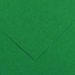 Barevný karton - COLORLINE (Canson) 220g - 70x100cm Moss green