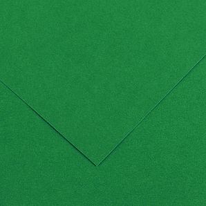 Barevný karton - COLORLINE (Canson) 220g - 70x100cm Moss green